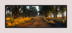Country Road, Wagga Wagga, NSW