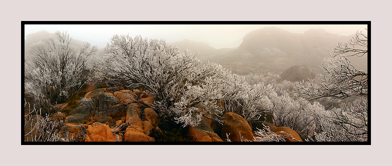 Icy Cathedral, Mt Buffalo, Andrew Brown Australian Landscape Photography