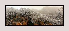 Mt Buffalo, Andrew Brown Australian Landscape Photography