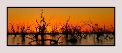 Menindee Lakes, NSW, Andrew Brown Australian Panoramic Photography